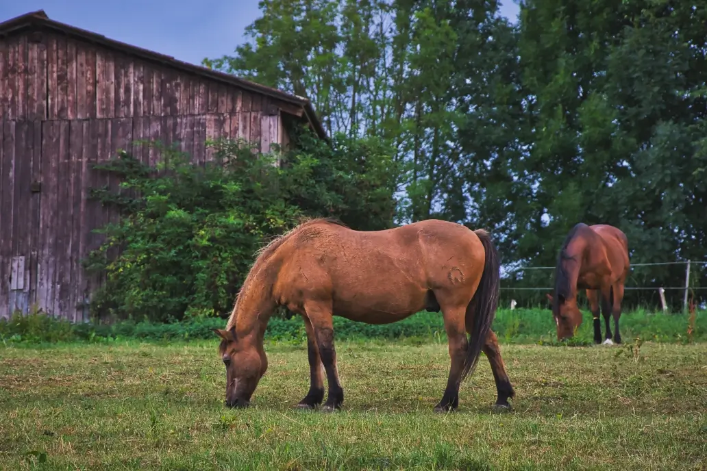 Loveland Ranch