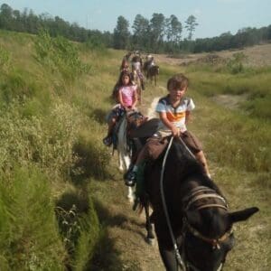 Children riding horses on a trail
