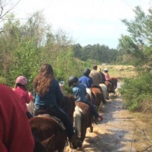 Horseback riders through a forest trail