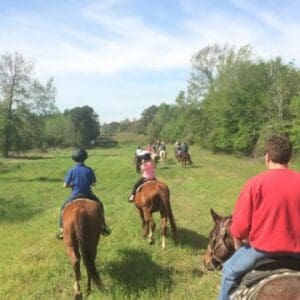 People riding horses through a field